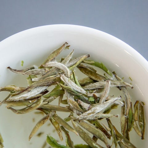 Aguja de plata de té blanco